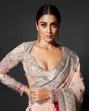 Sensual Shriya Saran in a Pink Pastel Saree Photos 01