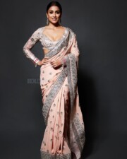 Sensual Shriya Saran in a Pink Pastel Saree Photos 02