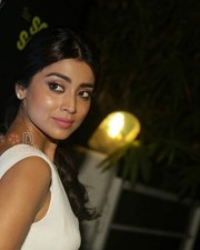 Sexy Actress Shriya Saran Photos
