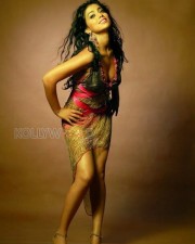 Sexy Actress Shriya Saran Pictures