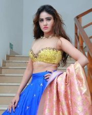 Sexy Beauty Sony Charishta Photos