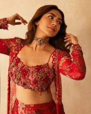 Sexy Mrunal Thakur in a Floral Embroidered Crop Top and Wide Legged Pants with a Sheer Overlay Photos 01