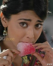 Sexy Shriya In Rowthiram Movie Pics