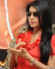 Sexy Shriya Pavitra Movie Press Meet Pictures