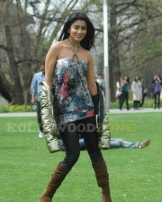 Sexy Shriya Saran In Don Seenu Movie Stills