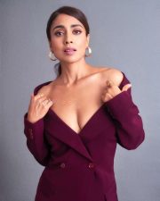 Sexy Shriya Saran in a Chic Purple Pantsuit Photos 02
