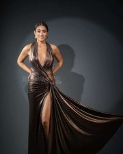 Sexy Shriya Saran in a Golden Dress Pictures 04 Sexy Shriya Saran in a Golden Dress Pictures 04