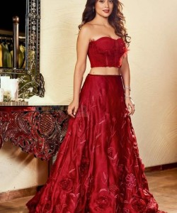 Shriya Saran Alluring in Red Dress Photos 02