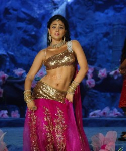 Shriya Saran Traditional Song and Dance Navel Photos 01
