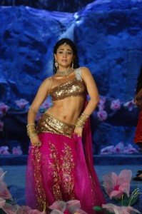 Shriya Saran Traditional Song and Dance Navel Photos 01