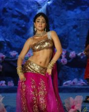 Shriya Saran Traditional Song and Dance Navel Photos 01