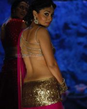 Shriya Saran Traditional Song and Dance Navel Photos 02