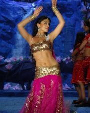 Shriya Saran Traditional Song and Dance Navel Photos 03