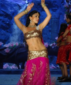 Shriya Saran Traditional Song and Dance Navel Photos 03