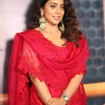 Shriya Saran at Gamanam Movie Press Meet Pictures 03 Shriya Saran at Gamanam Movie Press Meet Pictures 03