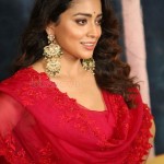 Shriya Saran at Gamanam Movie Press Meet Pictures 21 Shriya Saran at Gamanam Movie Press Meet Pictures 21