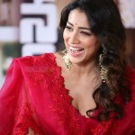 Shriya Saran at Gamanam Movie Press Meet Pictures 25 Shriya Saran at Gamanam Movie Press Meet Pictures 25