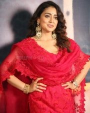 Shriya Saran at Gamanam Movie Press Meet Pictures 28 Shriya Saran at Gamanam Movie Press Meet Pictures 28