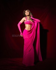 Slim and Sexy Shilpa Shetty in a Pink Saree Photos 01