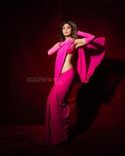 Slim and Sexy Shilpa Shetty in a Pink Saree Photos 02