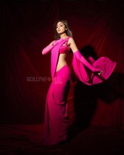 Slim and Sexy Shilpa Shetty in a Pink Saree Photos 03