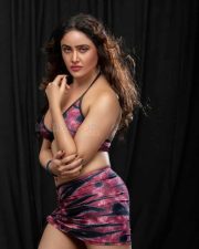Sony Charishta Latest HOT Photo Shoot Pictures 02