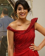 South Actress Shriya Saran New Stills 01