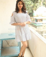 South Indian Actress Lavanya Tripathi Interview Photos
