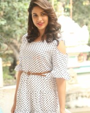 South Indian Actress Lavanya Tripathi Interview Photos