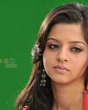 Vedhika 32 South Indian Actress Vedika Photos