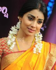 South Indian Heroine Shriya Pictures