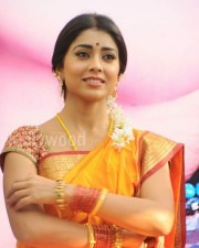 South Indian Heroine Shriya Pictures