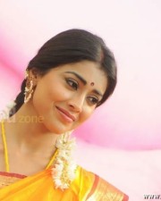 South Indian Heroine Shriya Pictures