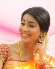 South Indian Heroine Shriya Pictures