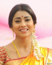 South Indian Heroine Shriya Pictures