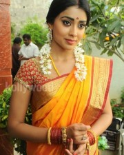 South Indian Heroine Shriya Pictures