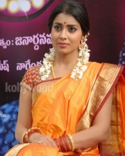 South Indian Heroine Shriya Pictures