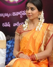 South Indian Heroine Shriya Pictures