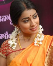 South Indian Heroine Shriya Pictures