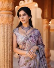 Stunning Nabha Natesh in a Lavender Floral Saree with a Short Sleeved Sequin Blouse Pictures 07