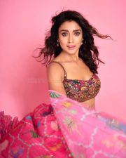 Stunning Shriya Saran in a Pink Embroidered Bandeau Blouse with a Draped Skirt and Cape Photos 01