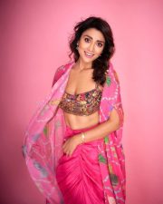 Stunning Shriya Saran in a Pink Embroidered Bandeau Blouse with a Draped Skirt and Cape Photos 02