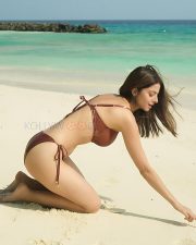 Stunning Vedhika in a Brown Two Piece Bikini on the Beach Photos 03