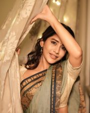 Stylish Beauty Nabha Natesh Navel Waist in a Glamorous Traditional Saree Pictures 01