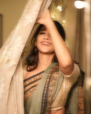 Stylish Beauty Nabha Natesh Navel Waist in a Glamorous Traditional Saree Pictures 03