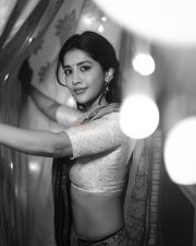 Stylish Beauty Nabha Natesh Navel Waist in a Glamorous Traditional Saree Pictures 04