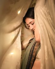 Stylish Beauty Nabha Natesh Navel Waist in a Glamorous Traditional Saree Pictures 06