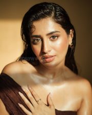 Sultry Actress Rashi Singh in a Brown Off Shoulder Lace Dress Photos 01