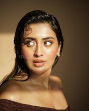 Sultry Actress Rashi Singh in a Brown Off Shoulder Lace Dress Photos 02