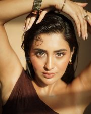 Sultry Actress Rashi Singh in a Brown Off Shoulder Lace Dress Photos 03